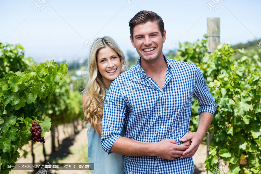 葡萄园里的幸福夫妇
