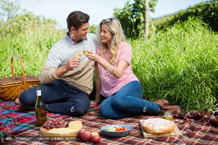 一对幸福的夫妇坐在野餐毯上