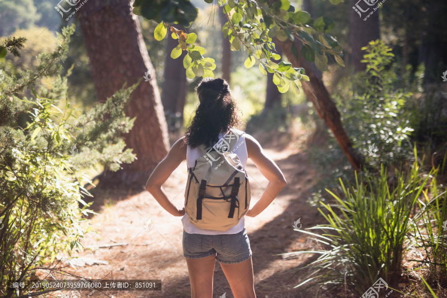 森林中女性徒步旅行者的后视图