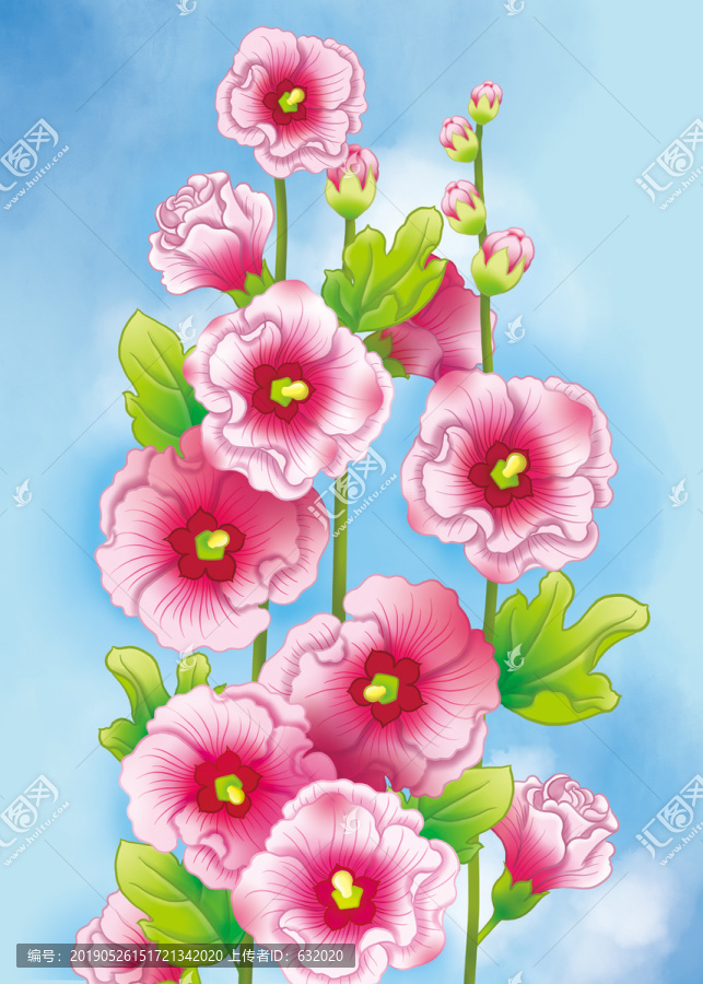 蜀葵花卉背景图片