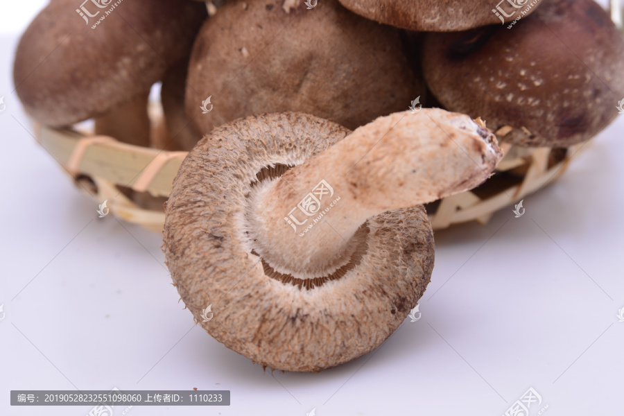 褐香菇