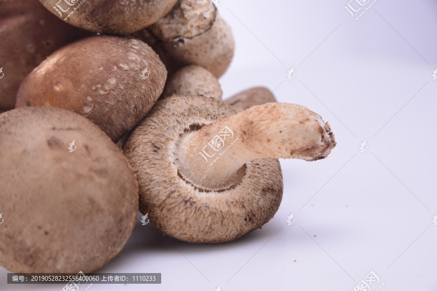 褐香菇