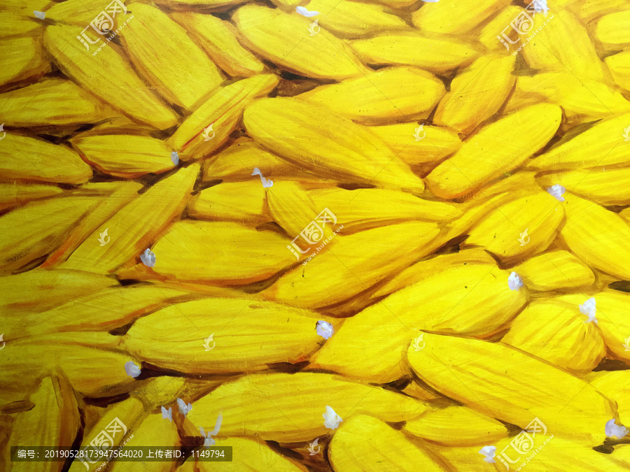 玉米农业