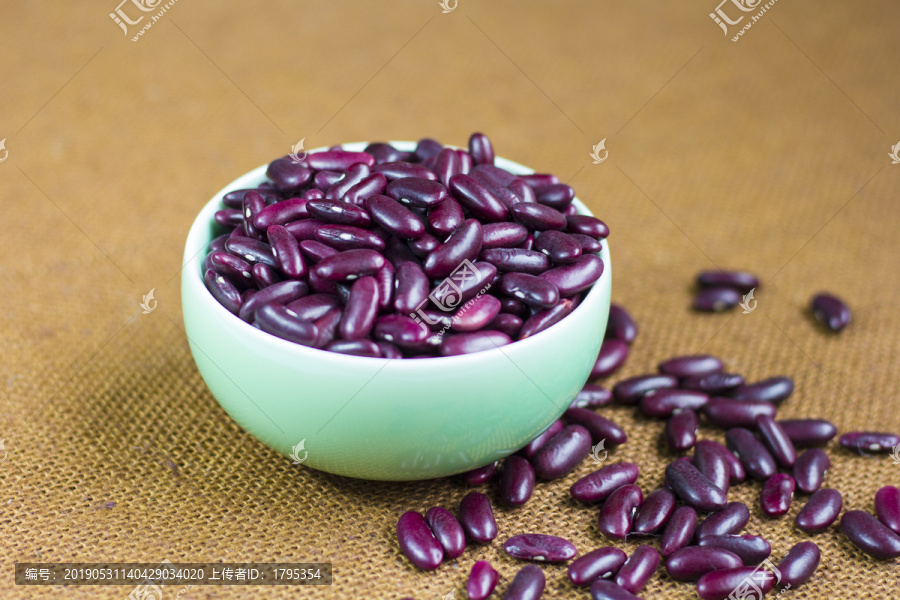 紫芸豆