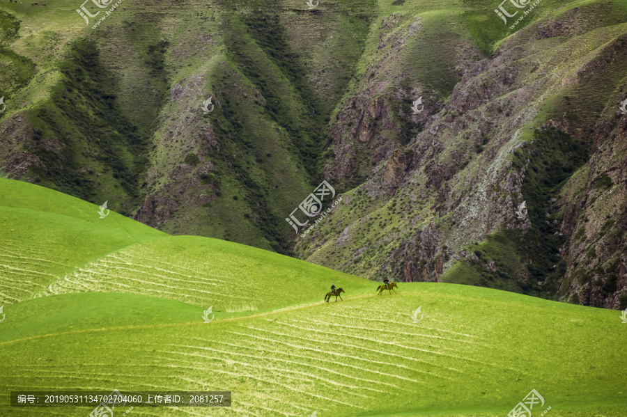 新疆人体草原