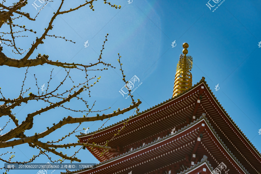 日本东京浅草寺