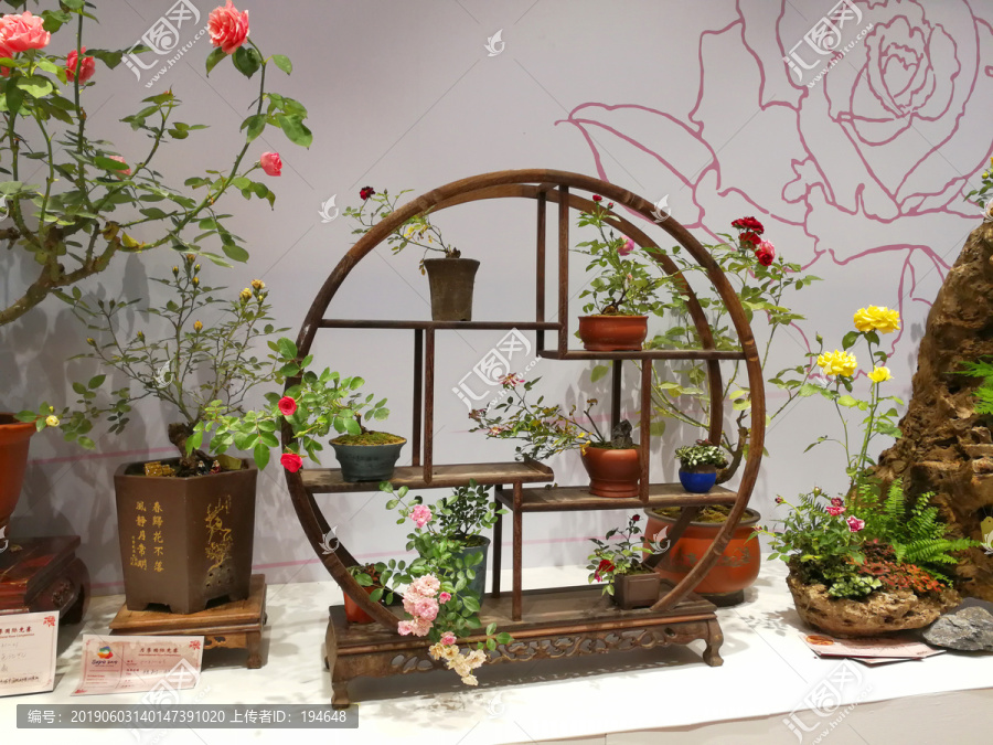 园艺插花