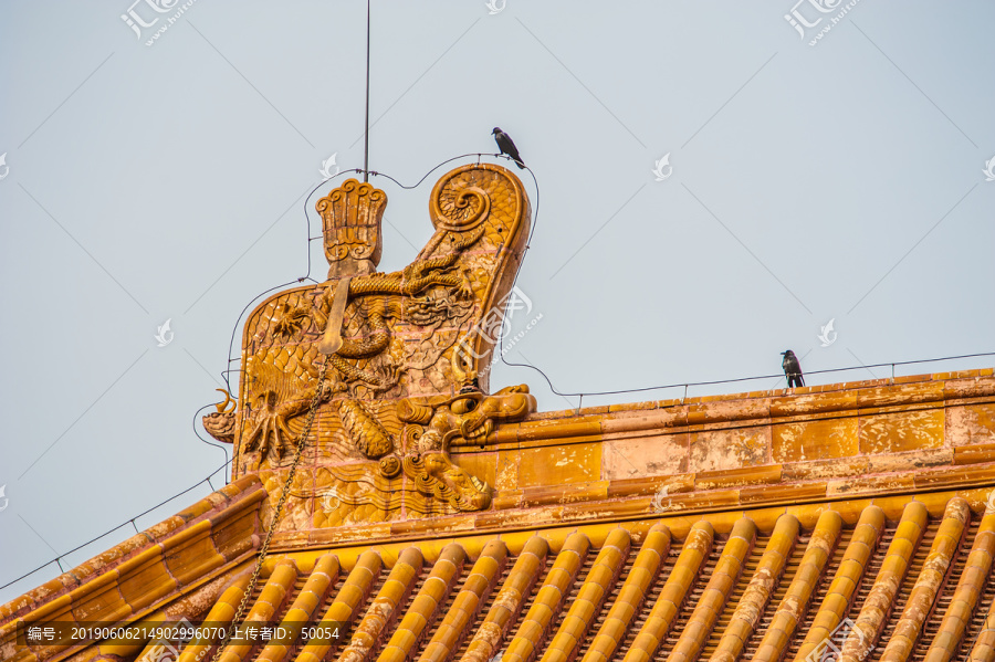 北京故宫太和殿正脊吻兽