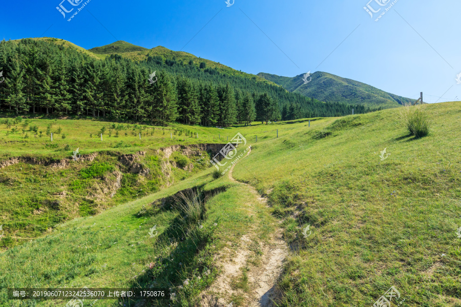 山地景观