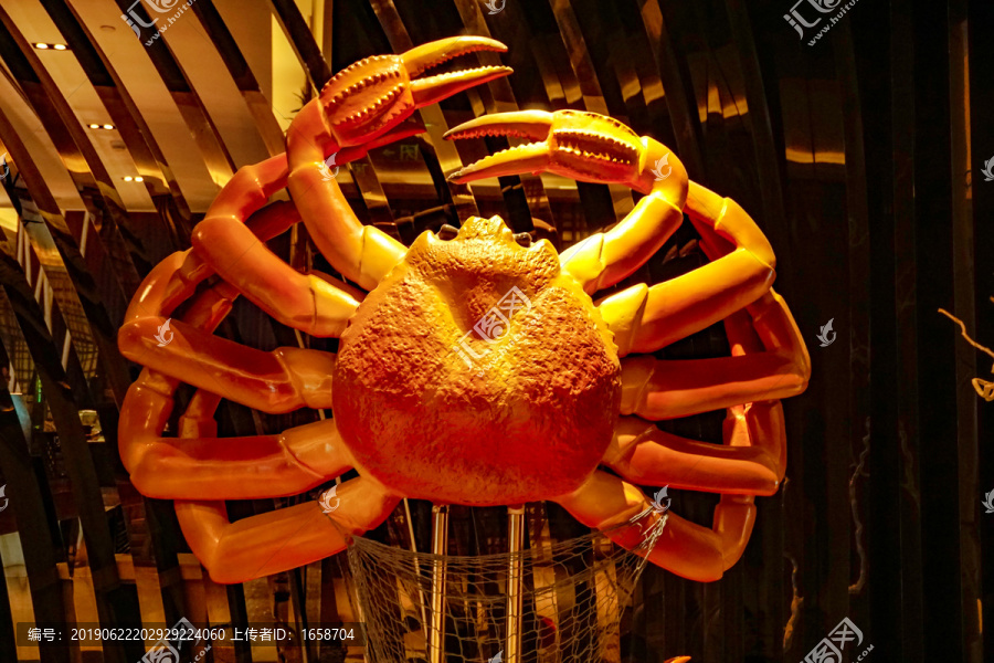 帝王蟹模型