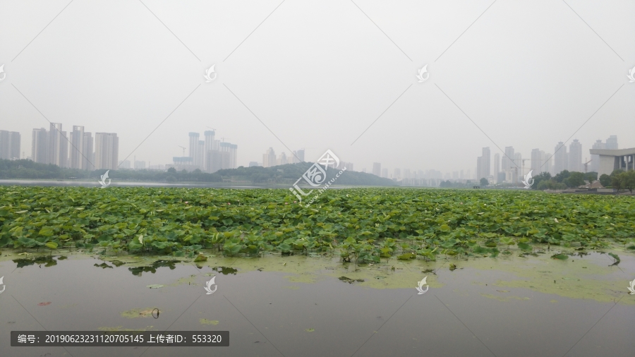 琴台公园