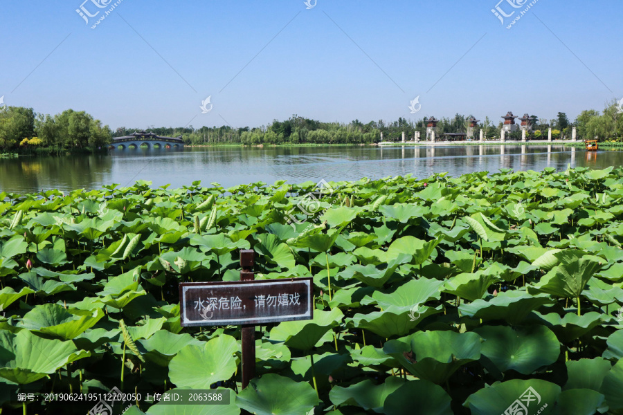 夏至小暑