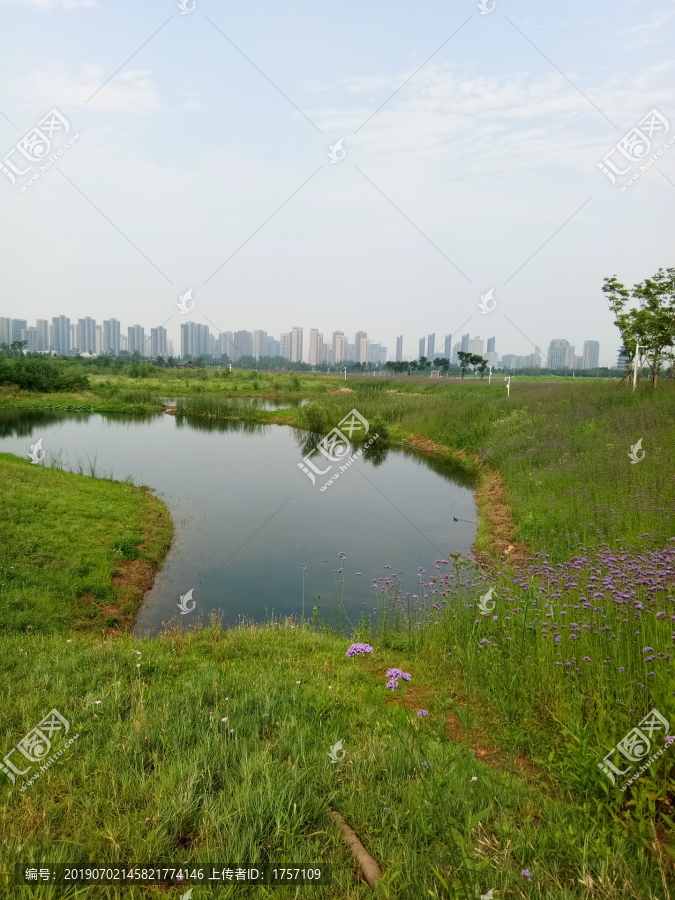 花海湿地公园