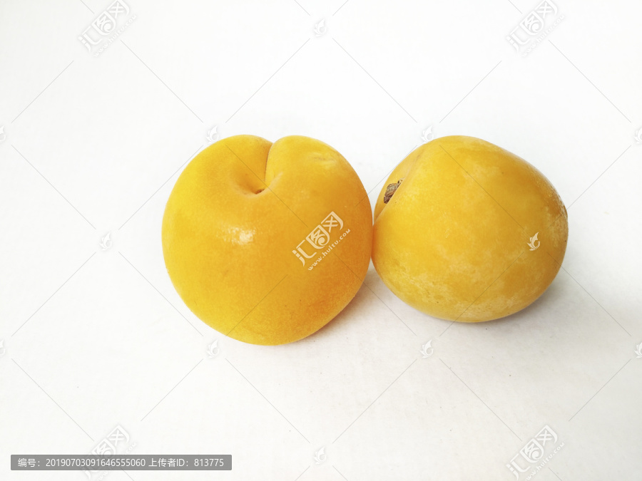 黄杏两颗
