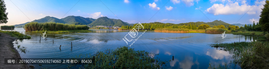 宁波马山湿地全景