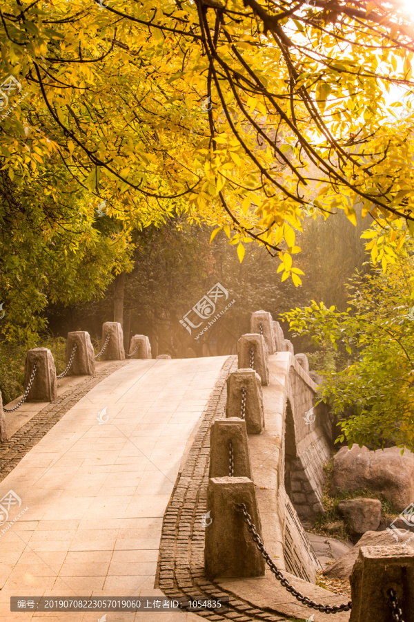 秋天背景