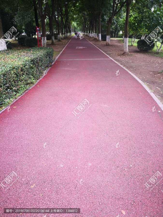 公园道路