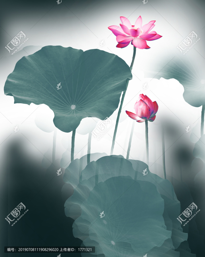 荷花