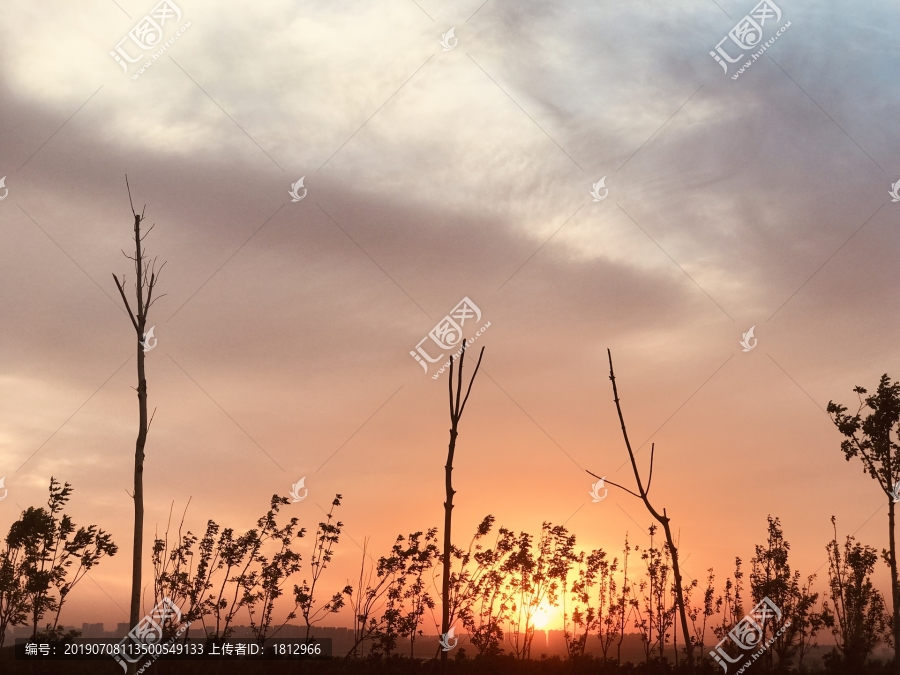 夕阳剪影