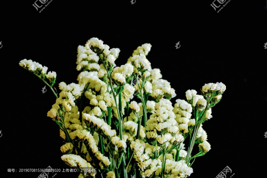 鲜花勿忘我