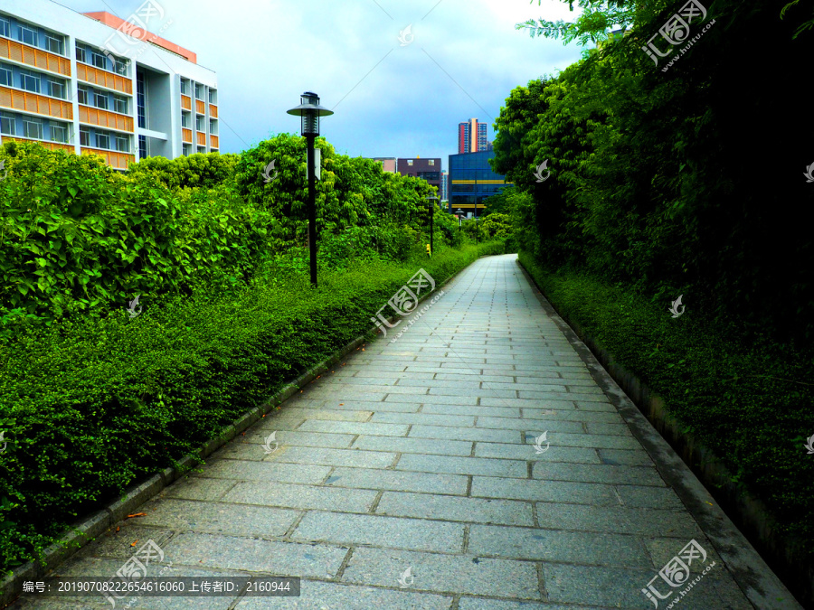 公园绿道