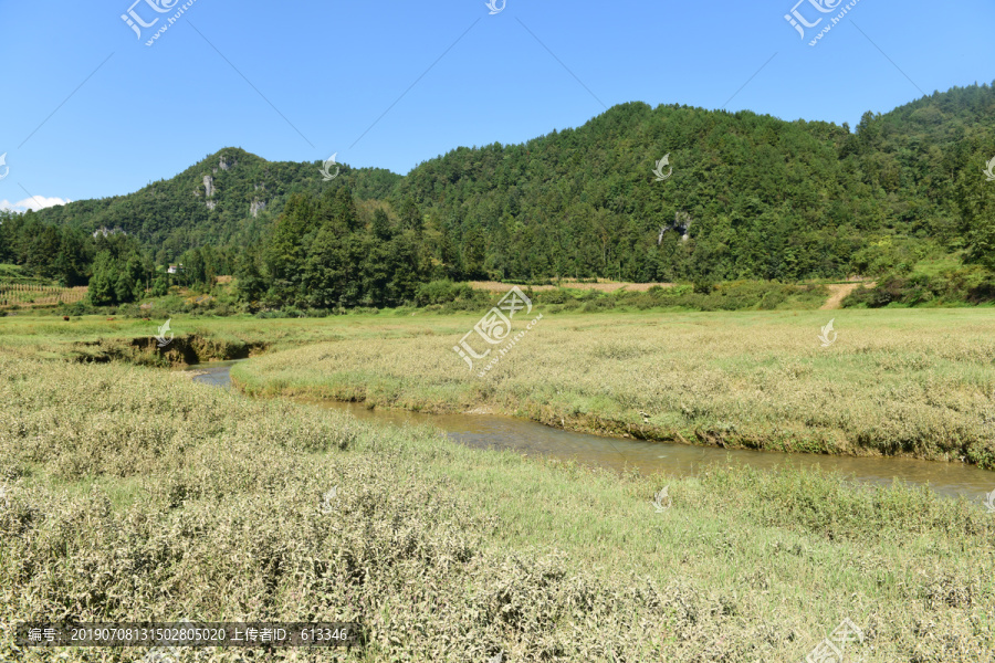山区山脉草场放牧