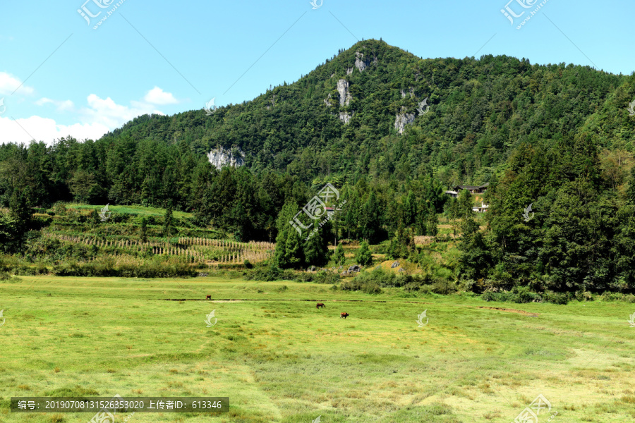 山区山脉草场放牧