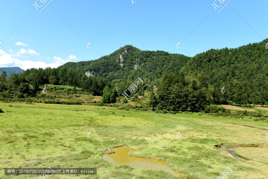 山区山脉草场放牧
