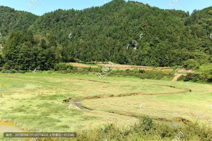 山区山脉草场放牧