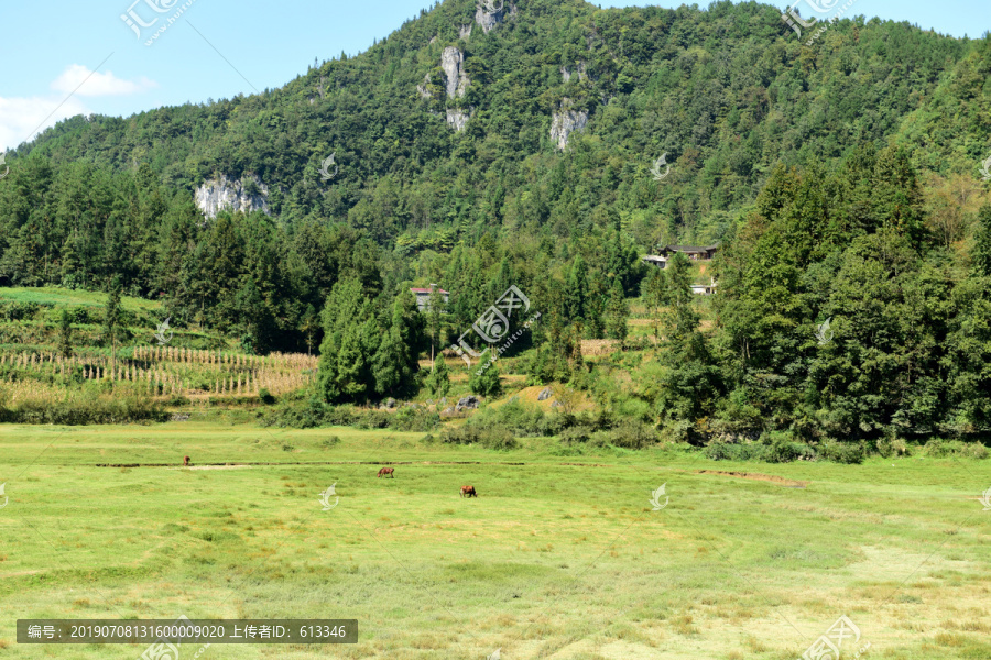 山区山脉草场放牧