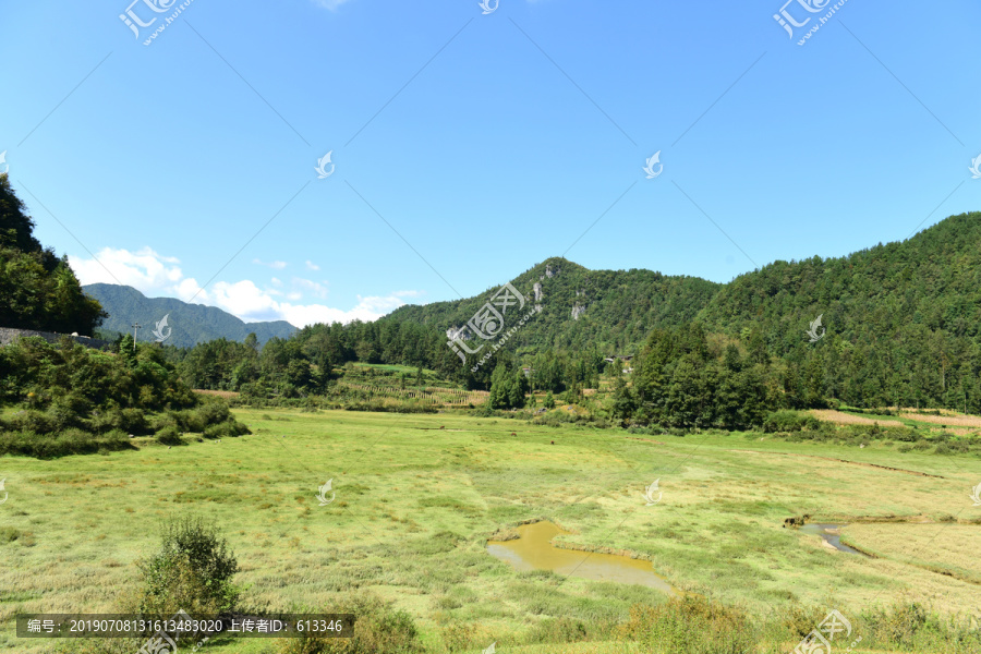 山区山脉草场放牧