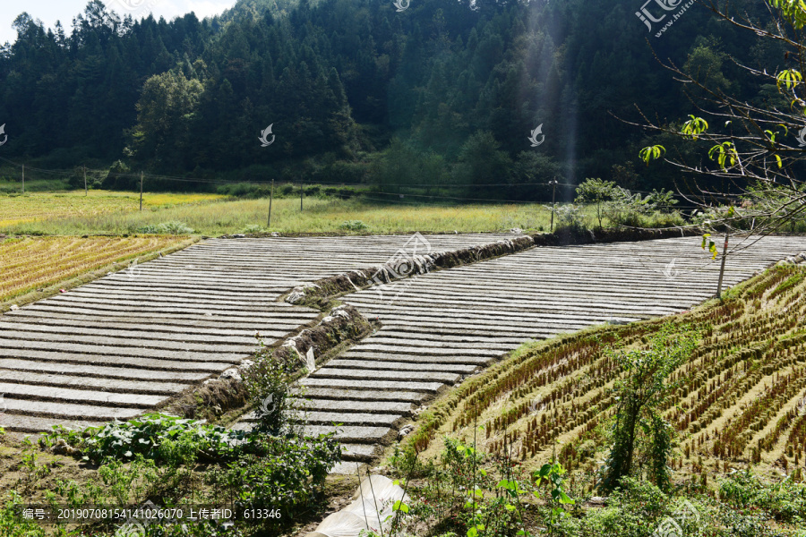农村土地塑料薄膜种植