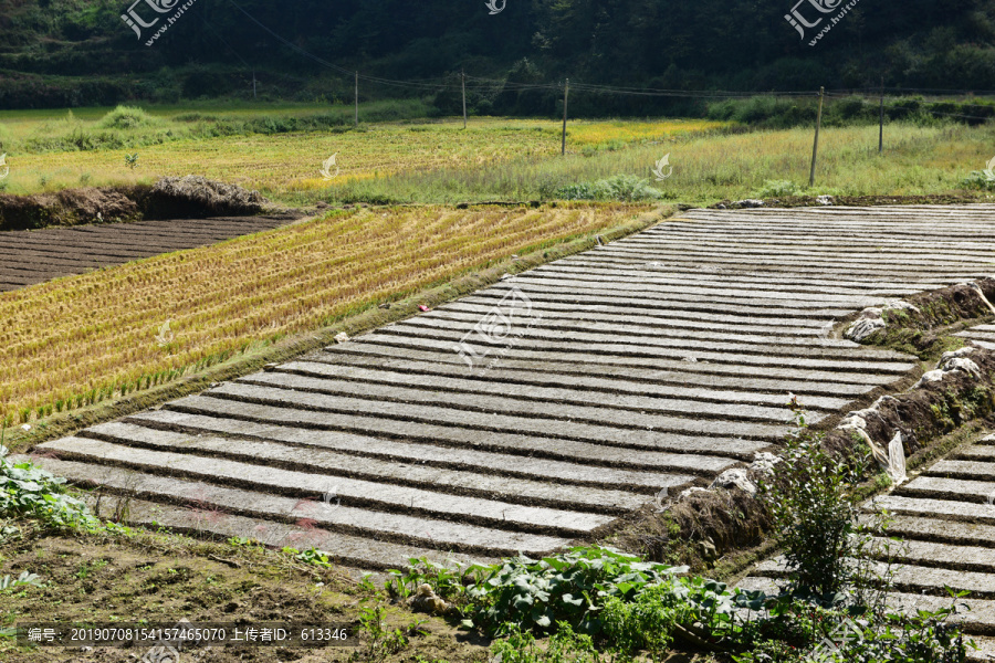 农村土地塑料薄膜种植