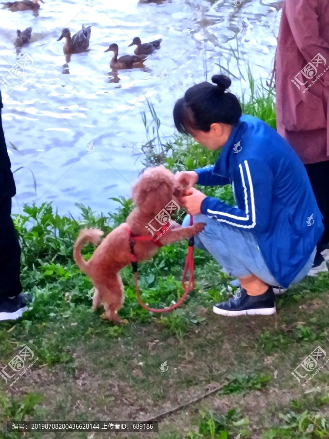 喂食