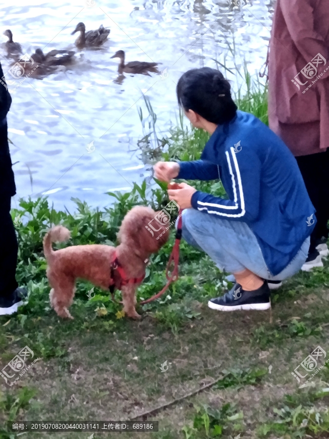 喂食