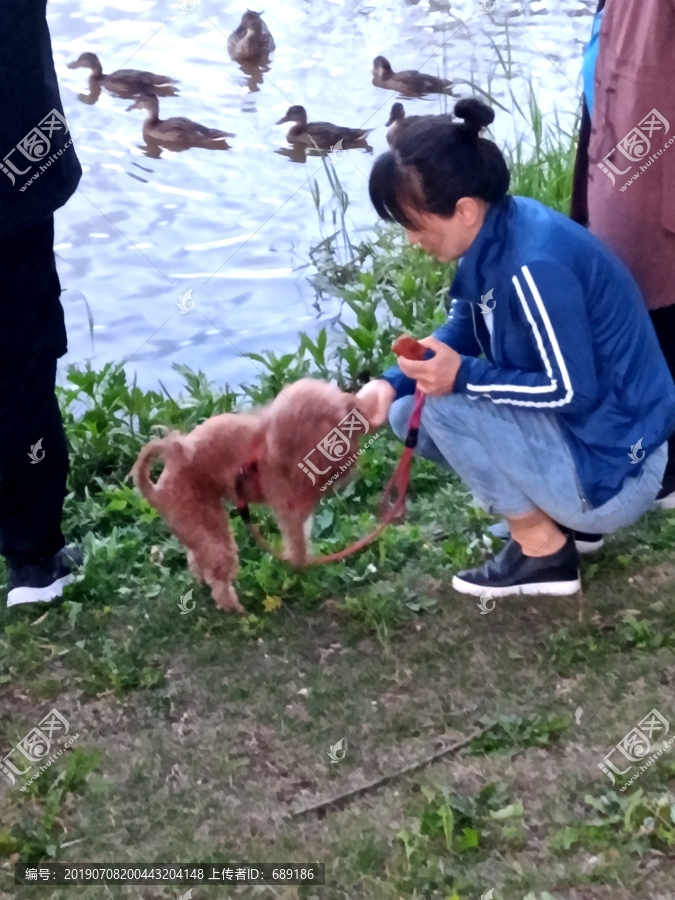 喂食