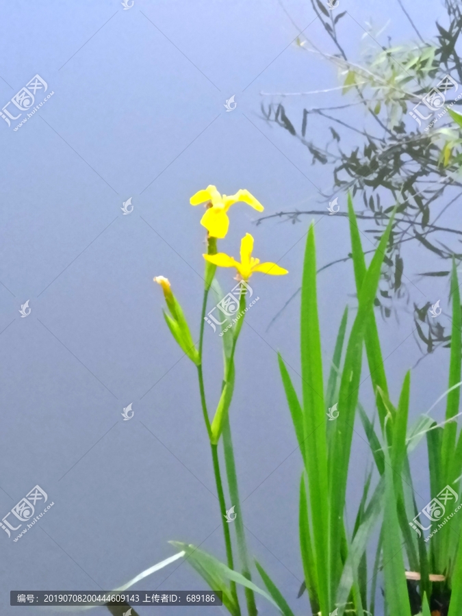 湖边夜色