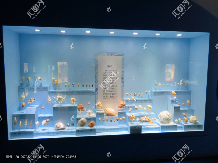 自然博物馆展陈