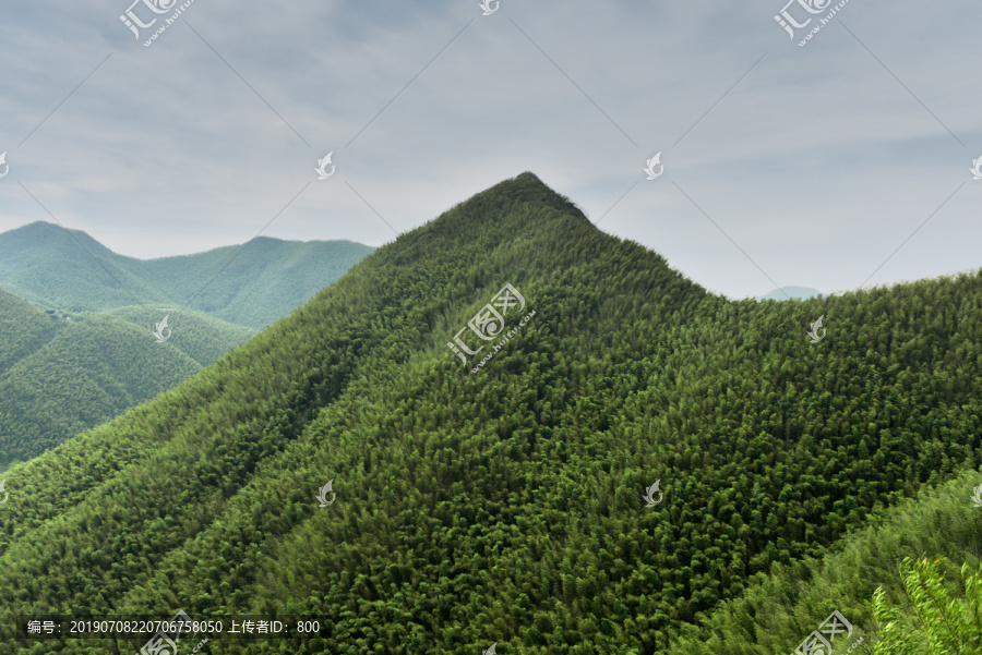 溧阳竹海