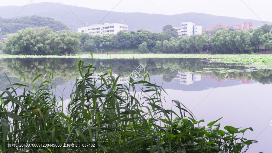 湖畔风景