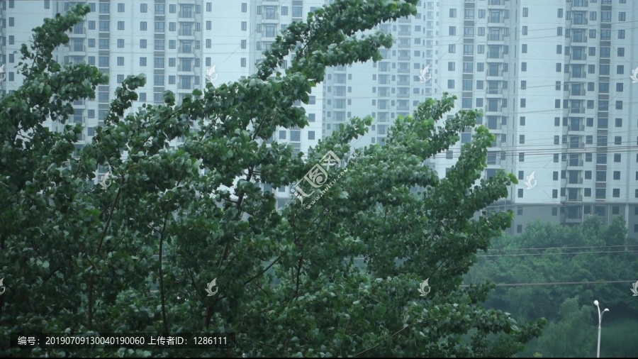 雨天的大风