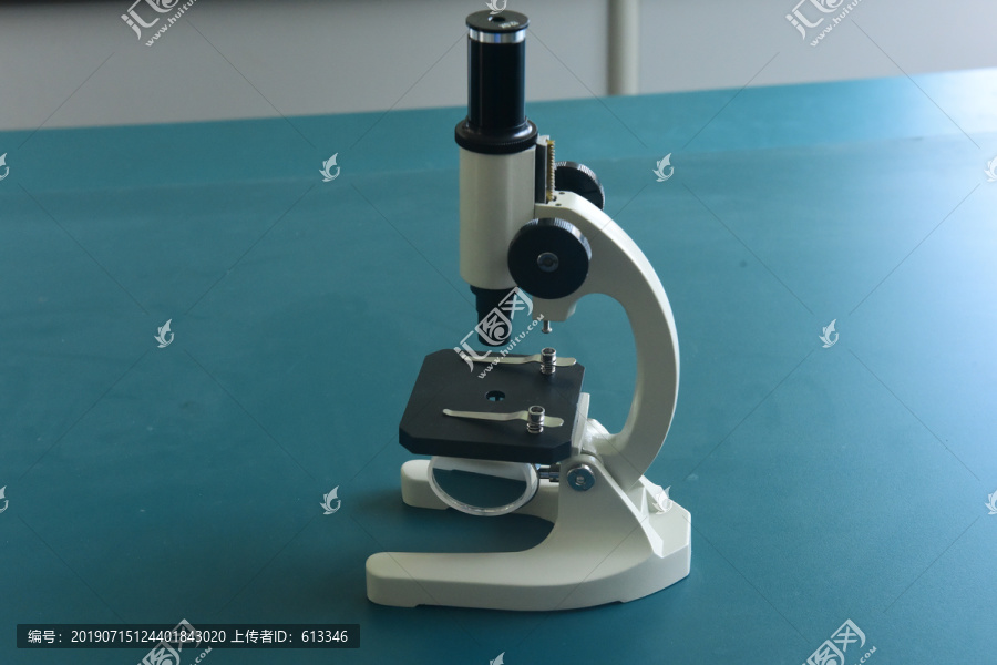 显微镜教学