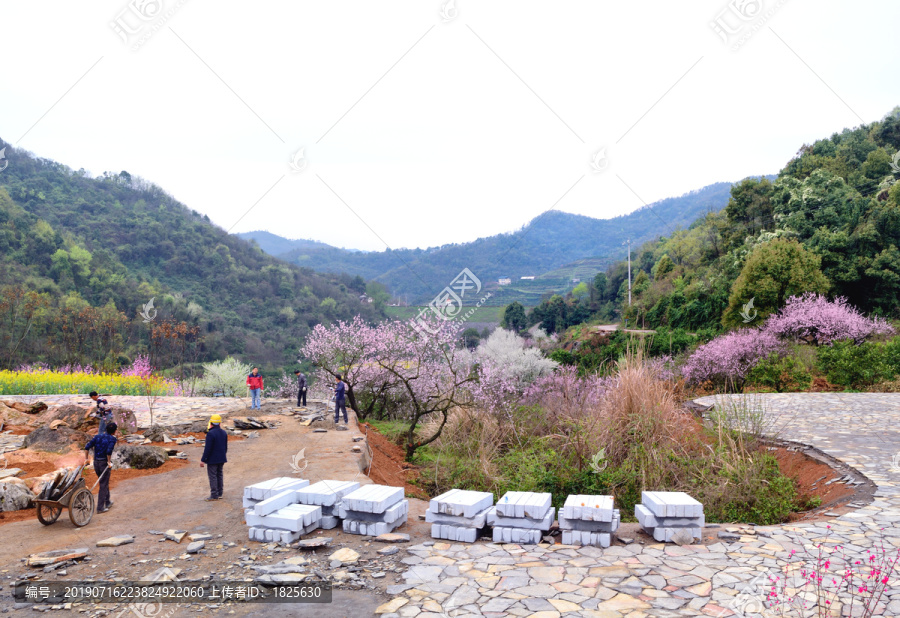 美丽乡村花满园