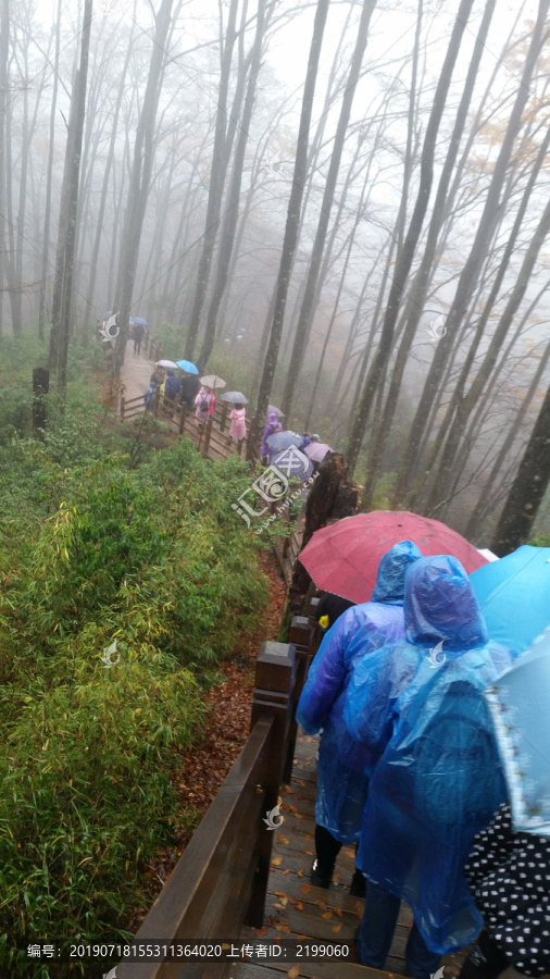 雨中行人