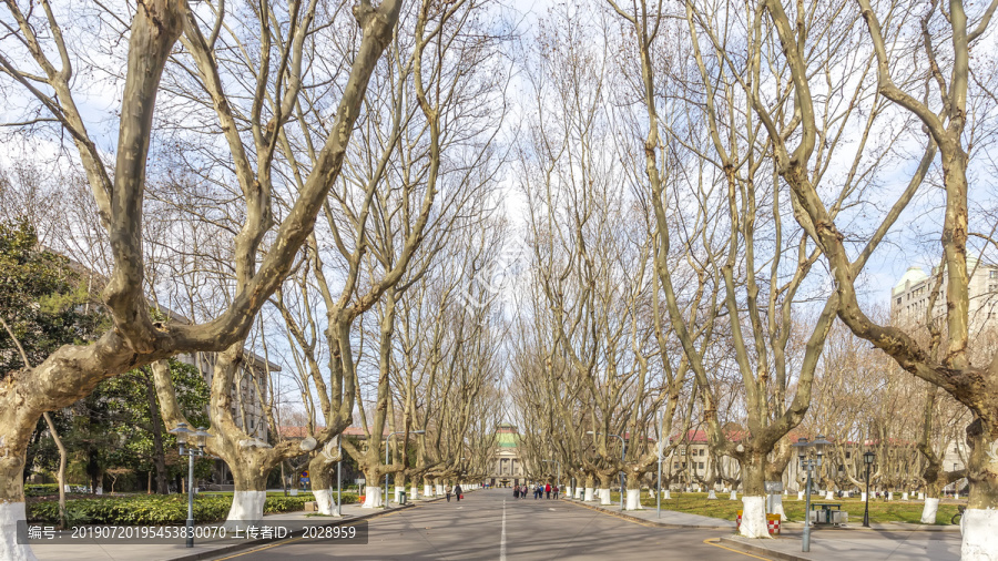 东南大学