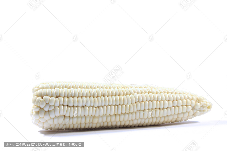 白底上的新鲜白色玉米