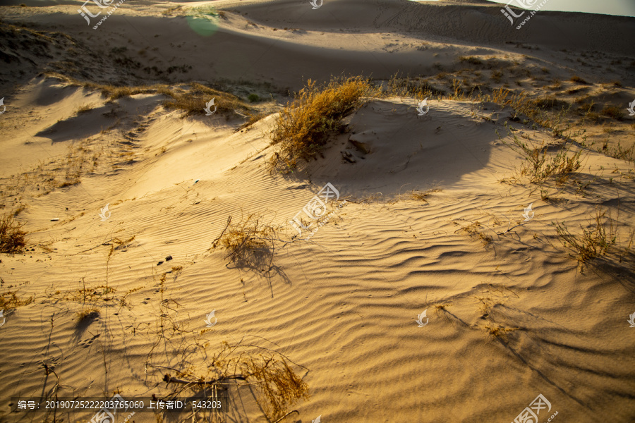沙漠戈壁滩水土流失