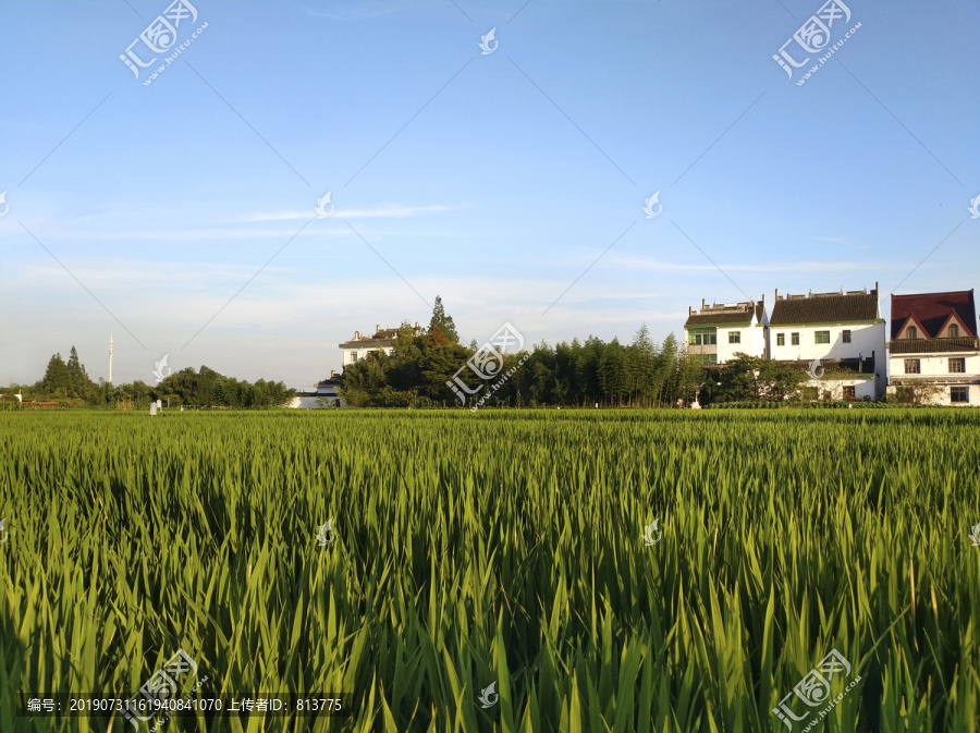 夕阳乡村美