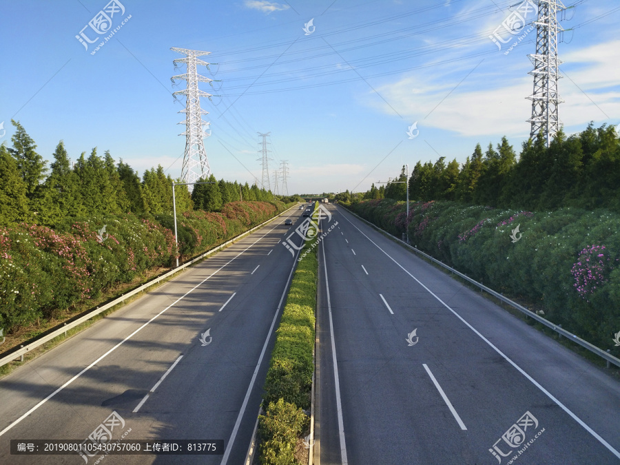 高速一路花海