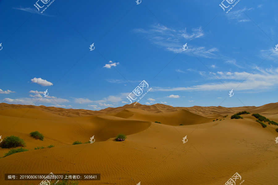 新疆鄯善库木塔格沙漠荒漠植被